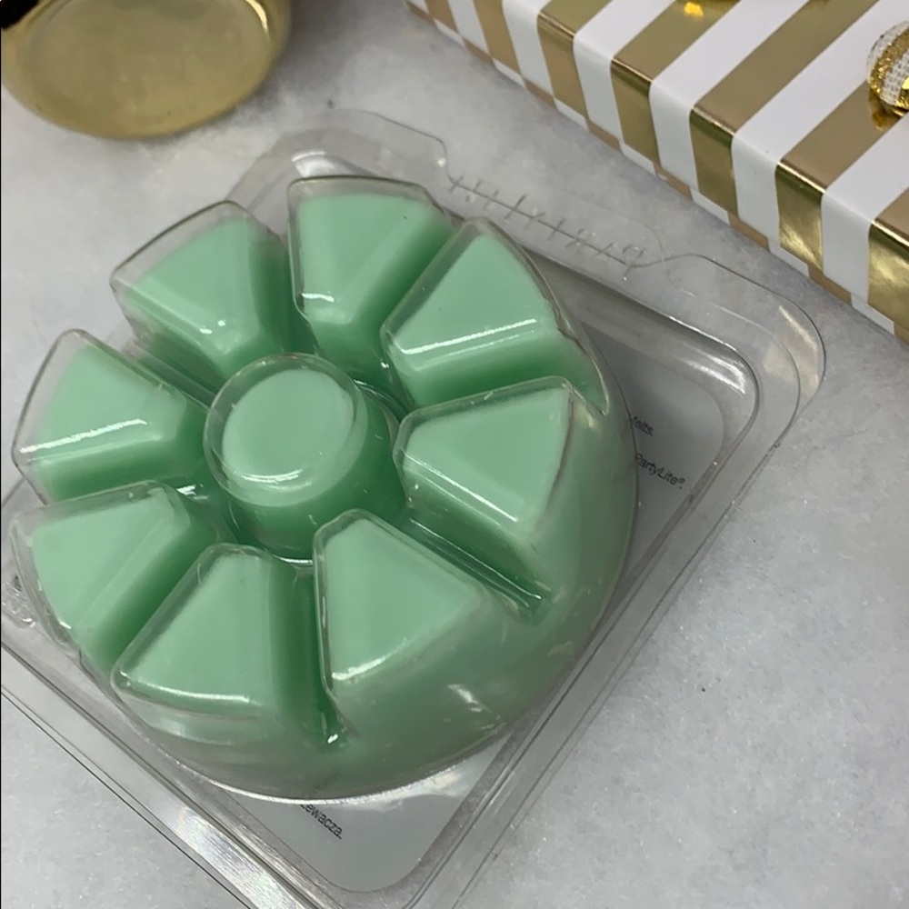 Scent Plus Mountain Waters Aroma Melt PartyLite - Picture 2 of 3